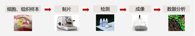 1704854203205094xFWj.png image.png