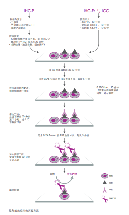 1704857253675264UEwQ.png image.png