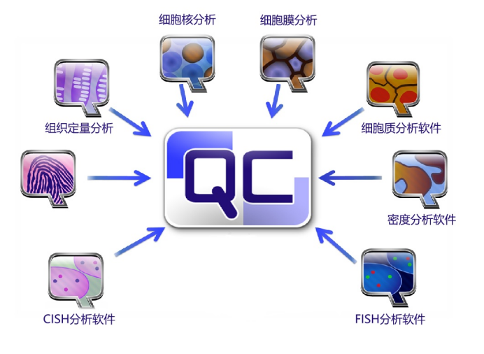 1704857812844330nlku.png image.png